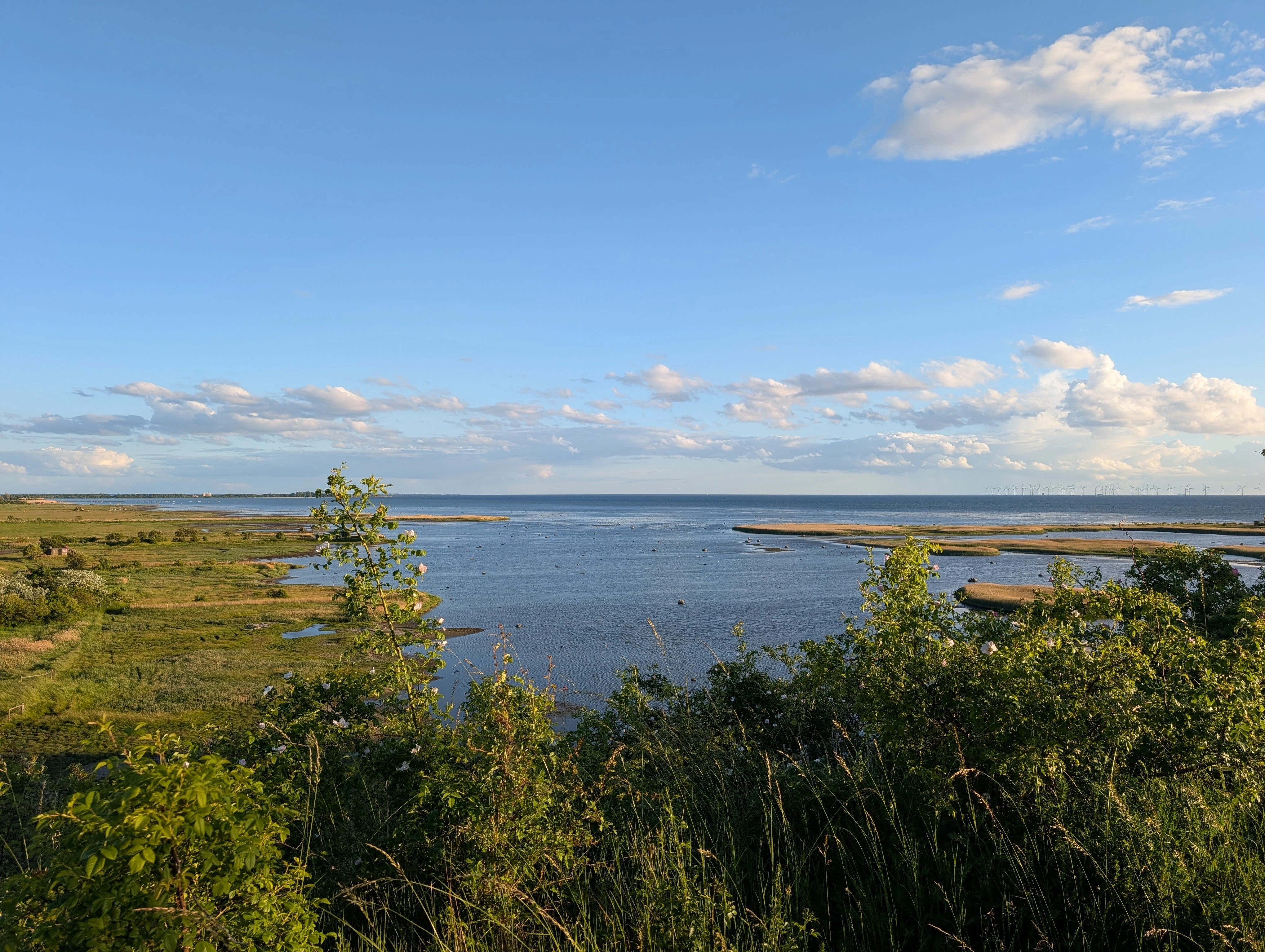 Thumbnail of post "MALMÖ trip report"